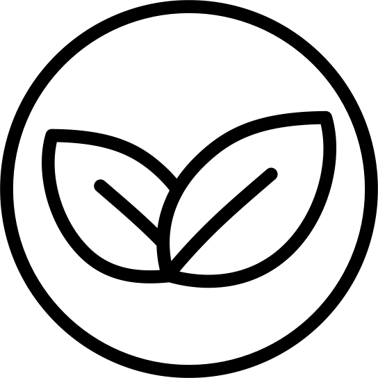 Vegan